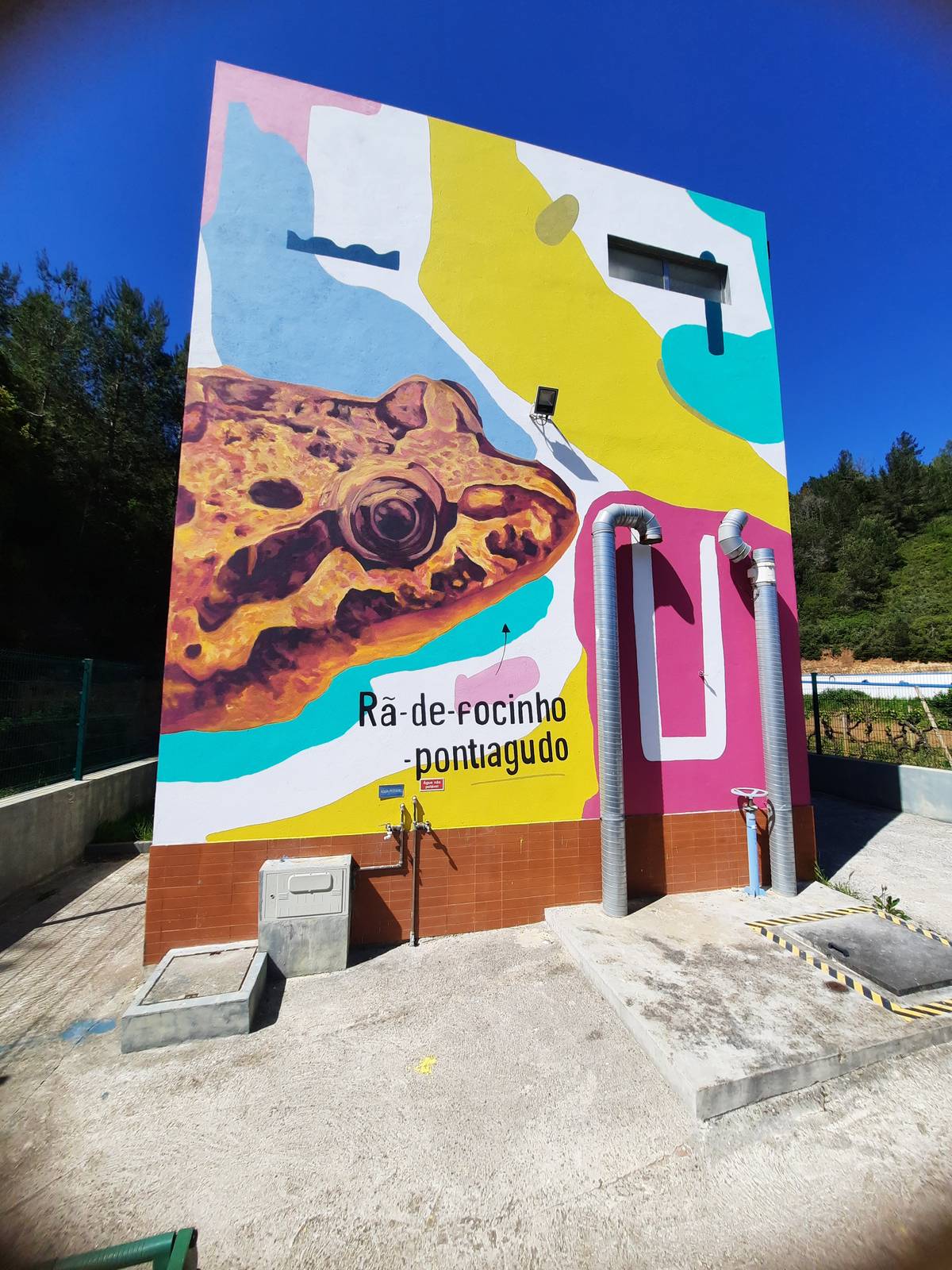 Mural "Biodiversidad Local"