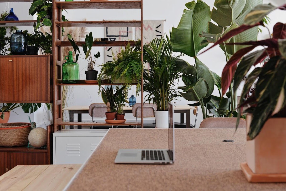 Kelp Coworking Space Ericeira