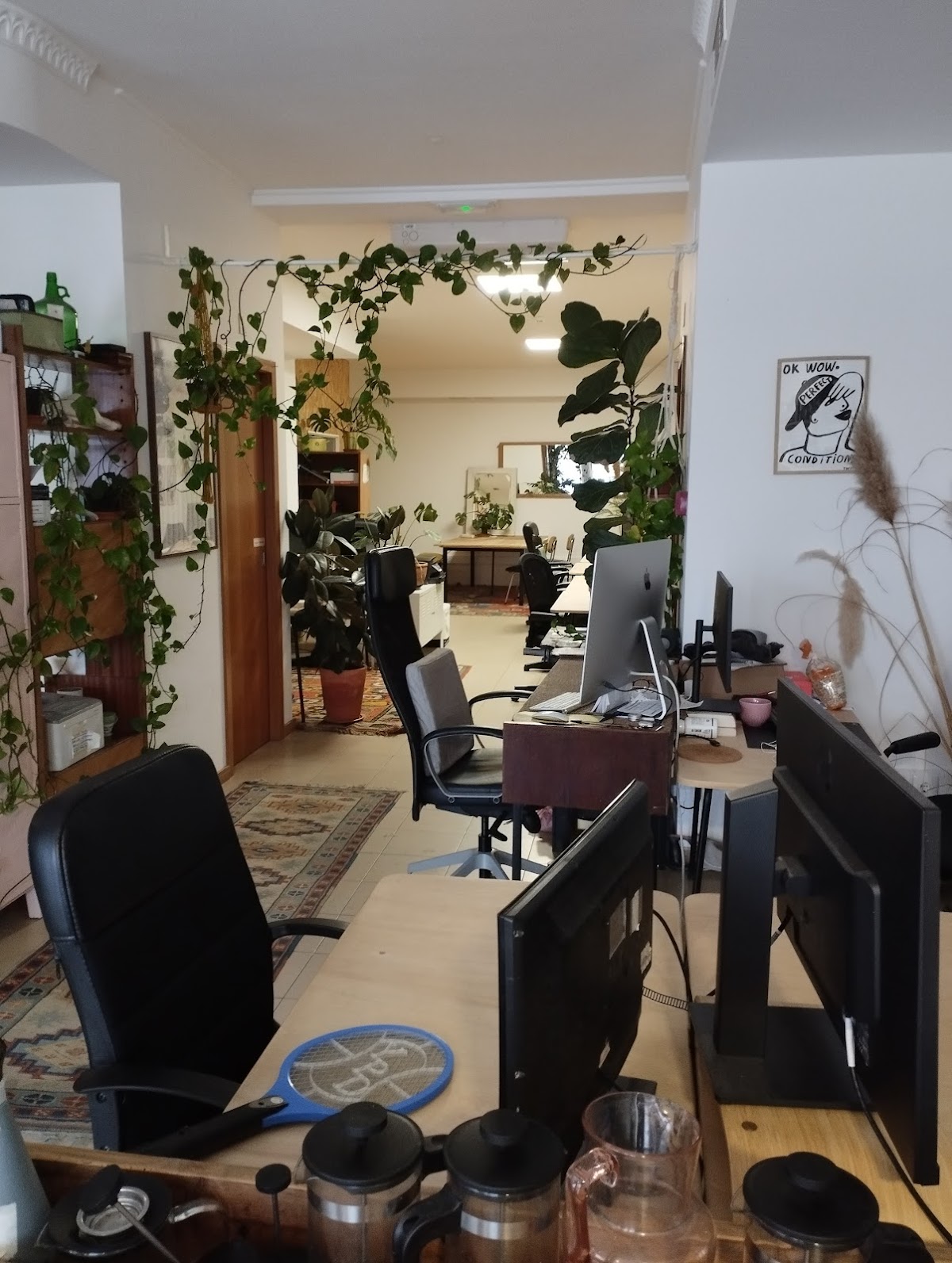 Kelp Coworking Space Ericeira photo 4
