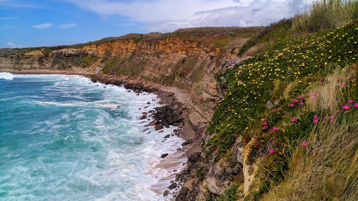 Baía dos Coxos