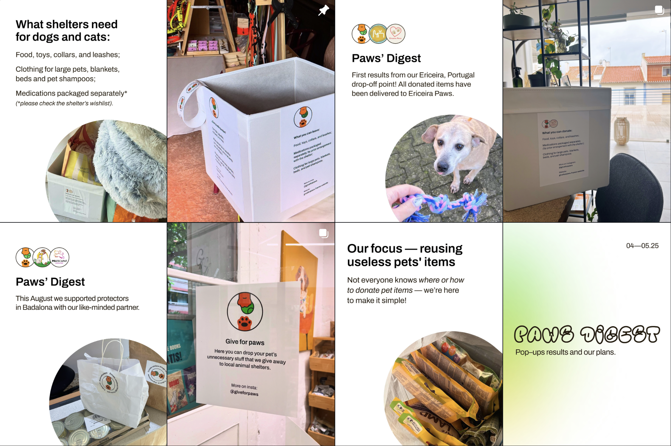 Give For Paws | Pets Donation Box