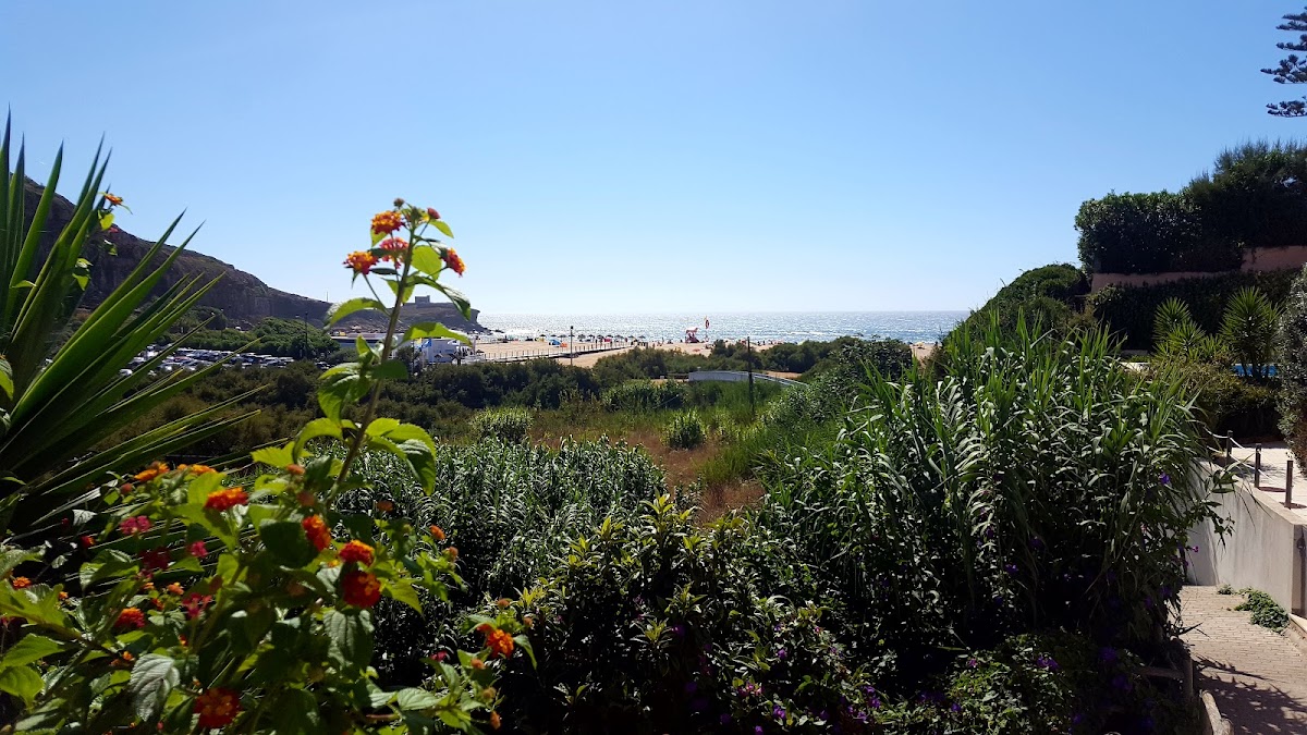 Praia de Sao Lourenco photo 4