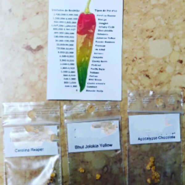 Spicy World photo 4