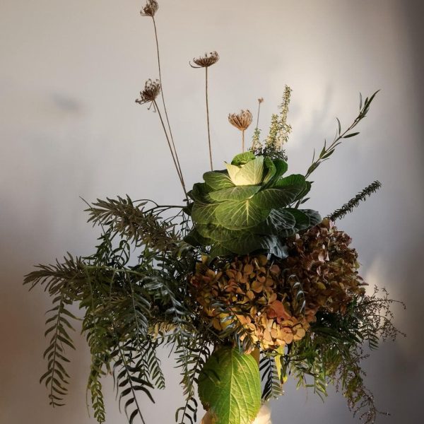 Aurora Flowers and Designs photo 2