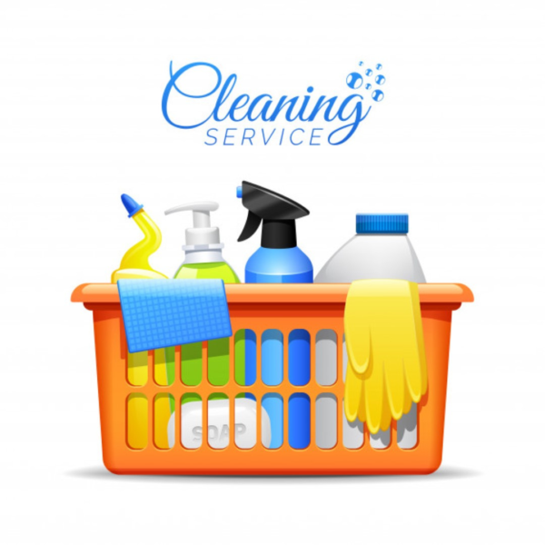 Ana Pinto – Cleaning photo 4