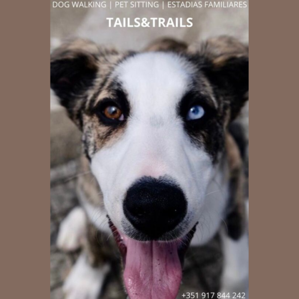 Tails & Trails photo 3