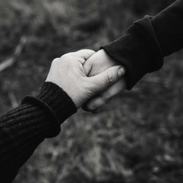 CompassionateMind photo 4
