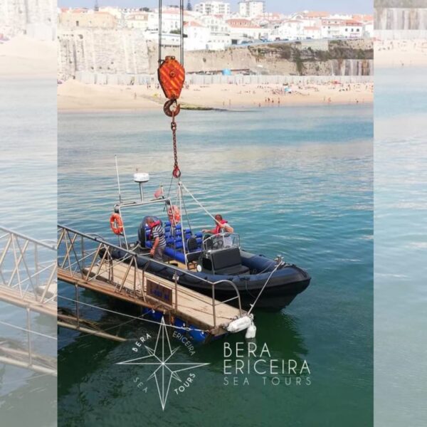 Bera Ericeira Sea Tours photo 4