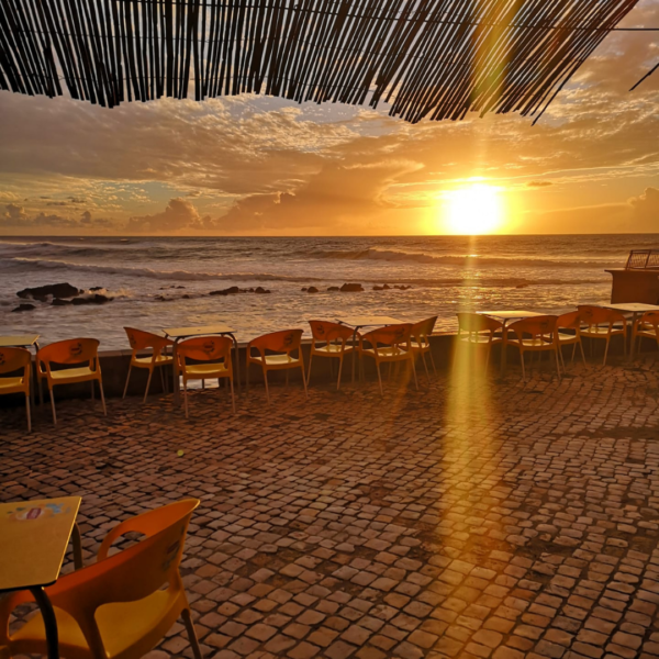 South Bay photo 3