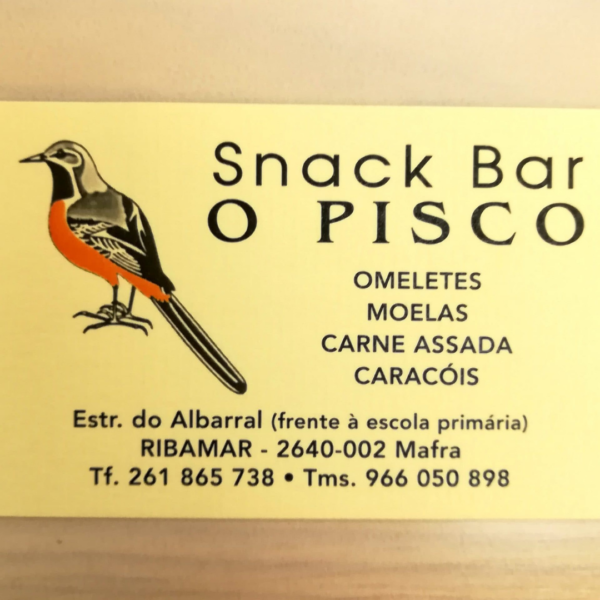 Pisco photo 4