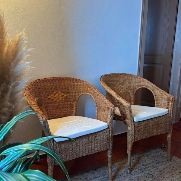 Susana Ferreira Therapy