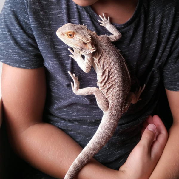 From Joana – Pet Sitting