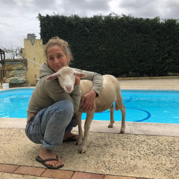 From Joana – Pet Sitting photo 3