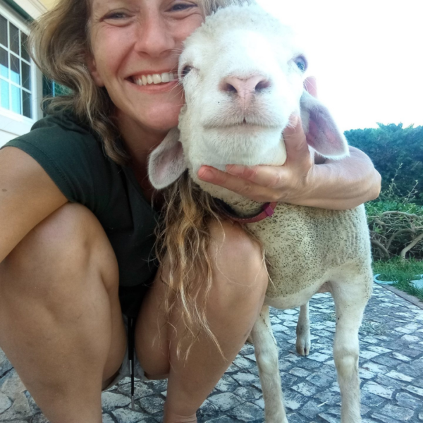 From Joana – Pet Sitting photo 4