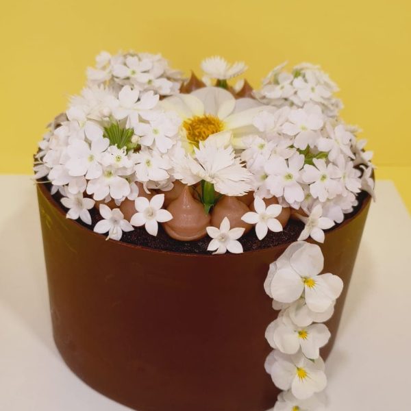 Emotions Cakes photo 2