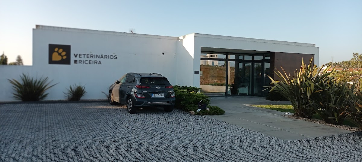 Veterinários Ericeira photo 2