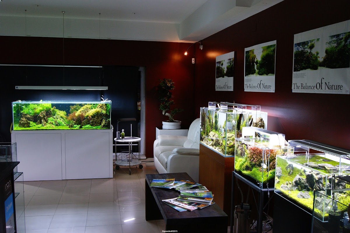 AQUAEDEN - Modern Aquariofilia, Lda. photo 4