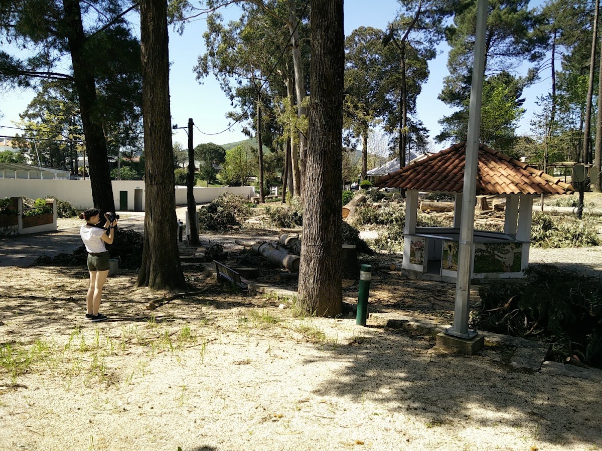 alojamento local Quinta da Alameda photo 2