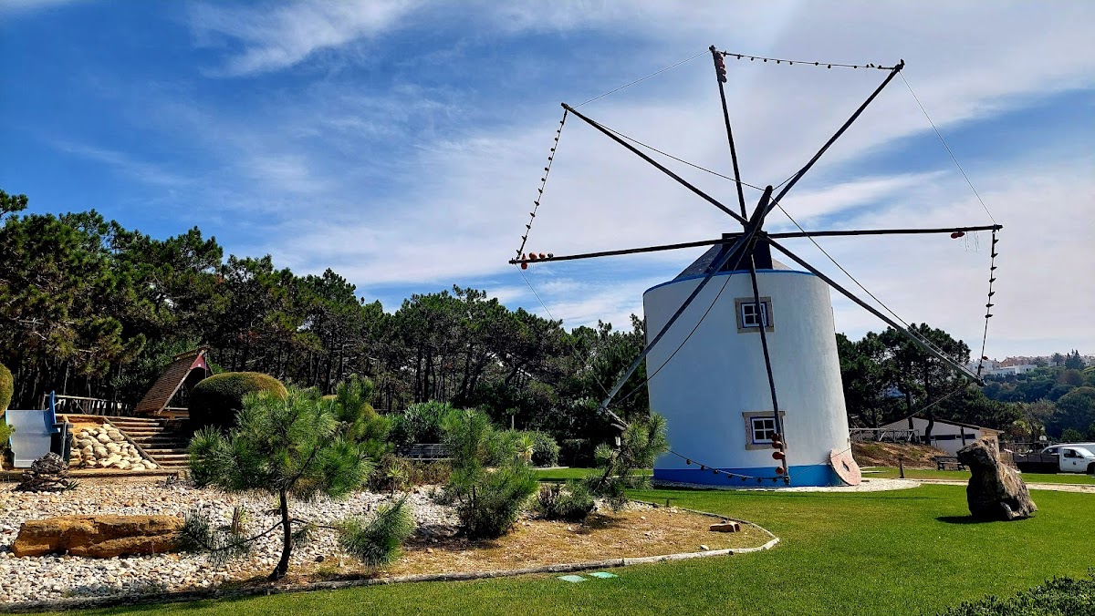 Ericeira Camping photo 4