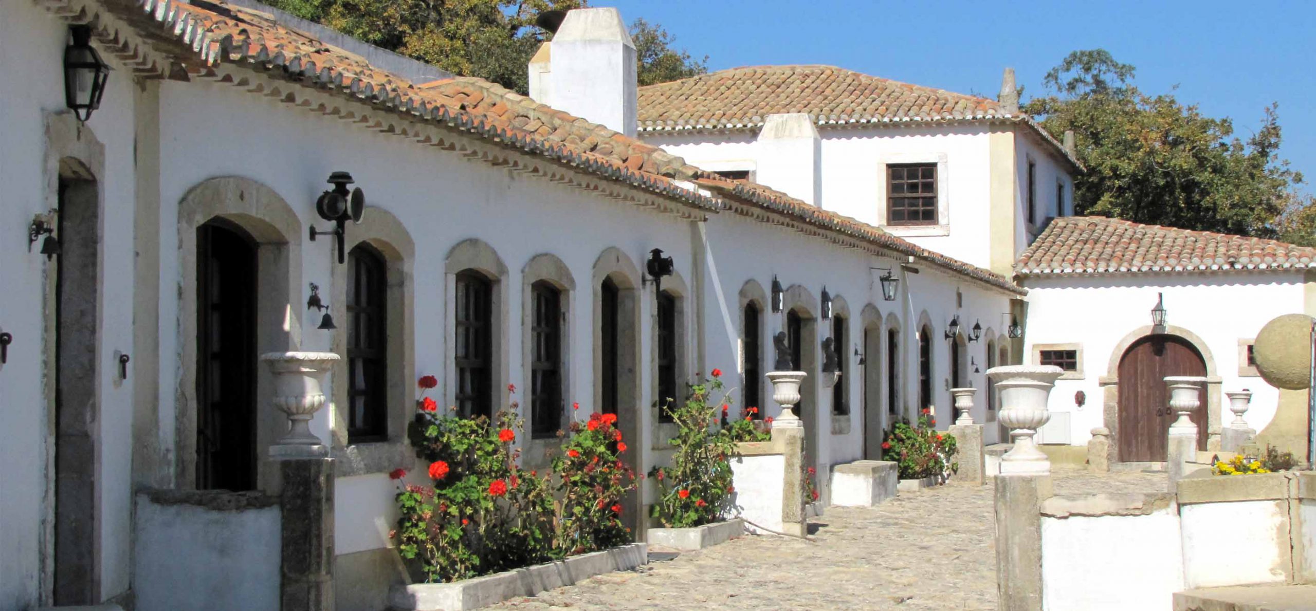 Quinta do Brejo - Turismo Rural photo 3