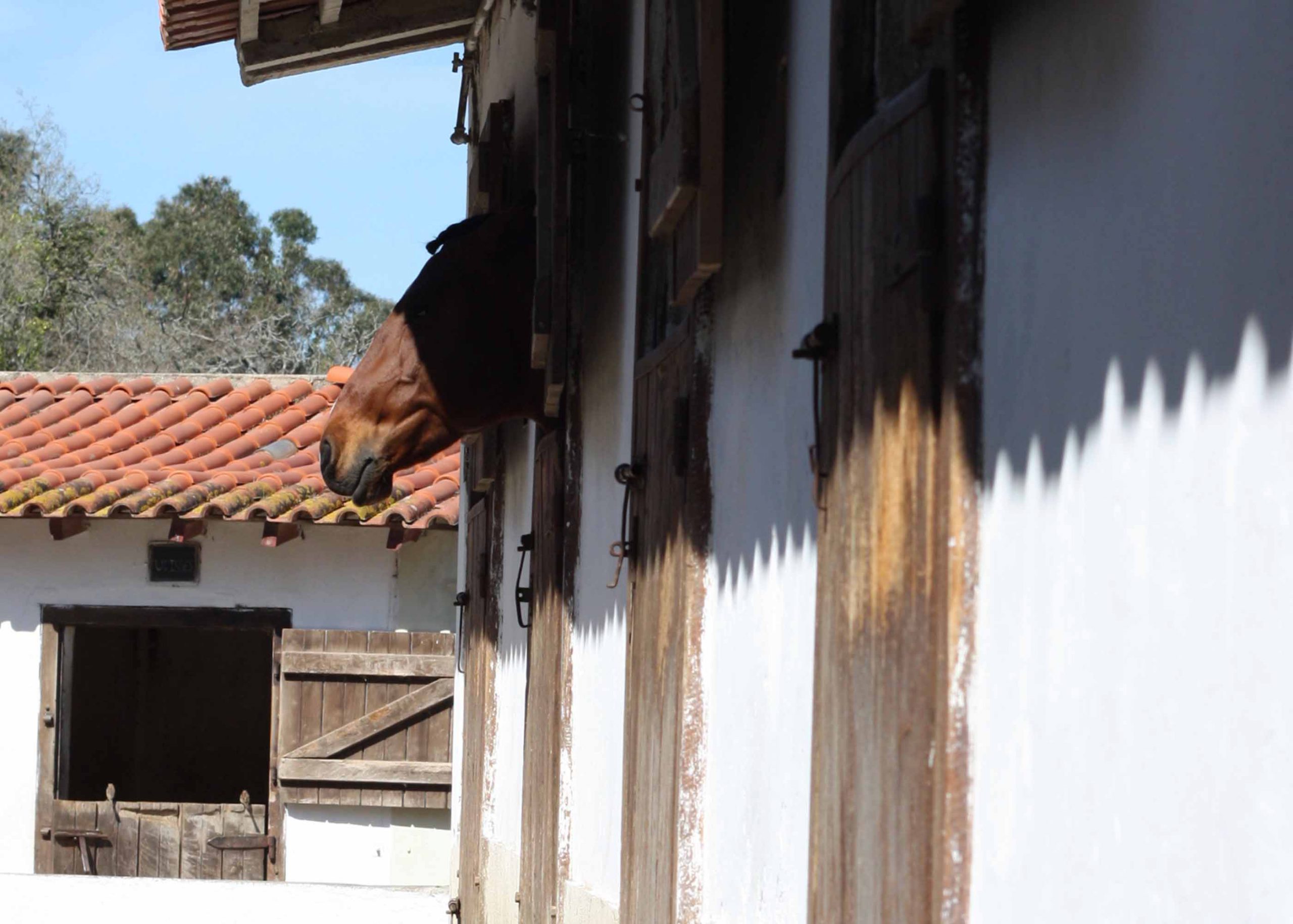 Quinta do Brejo - Turismo Rural photo 2