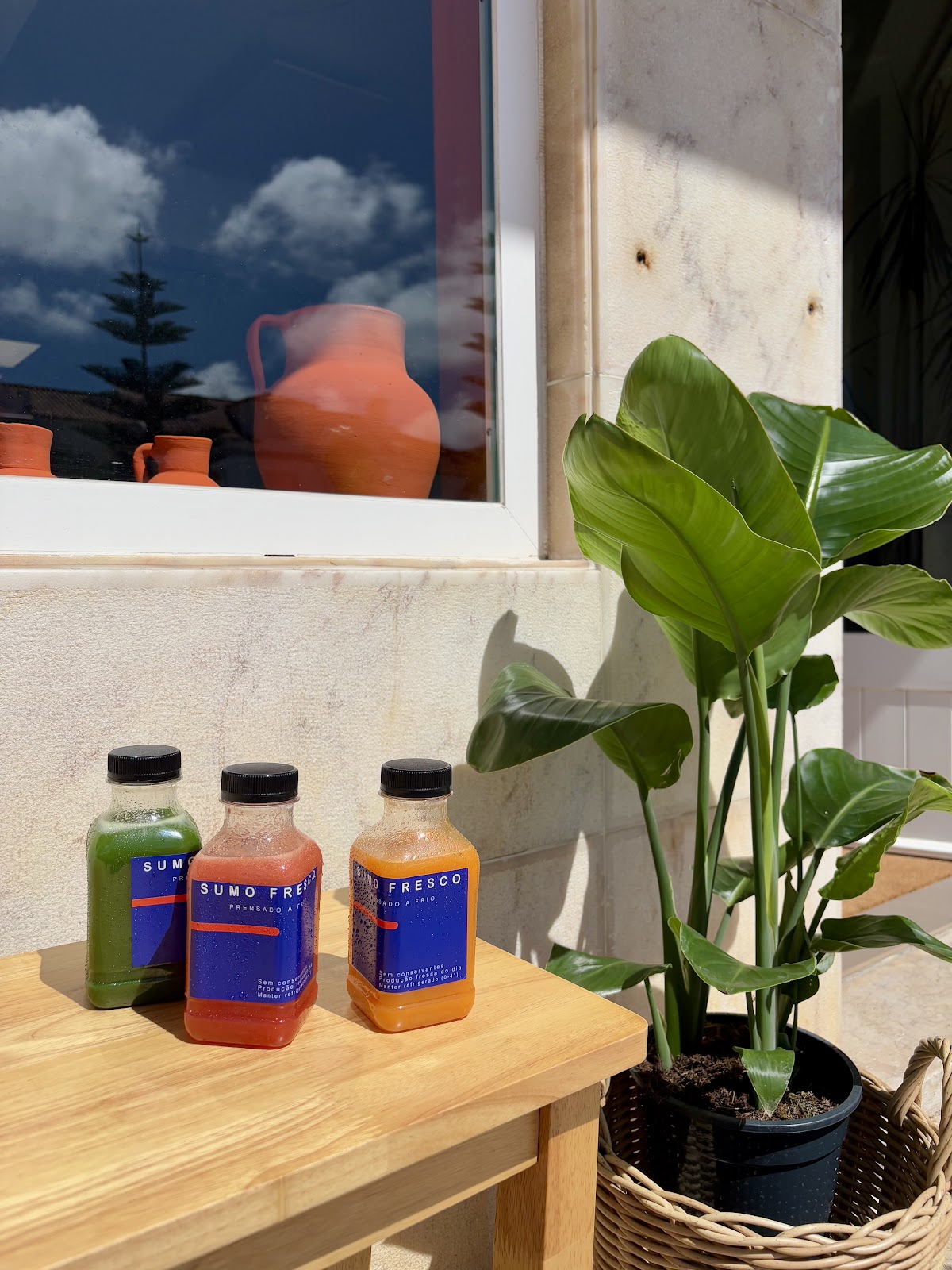 Osmos - froyo & smoothies 🍦🥭 photo 4