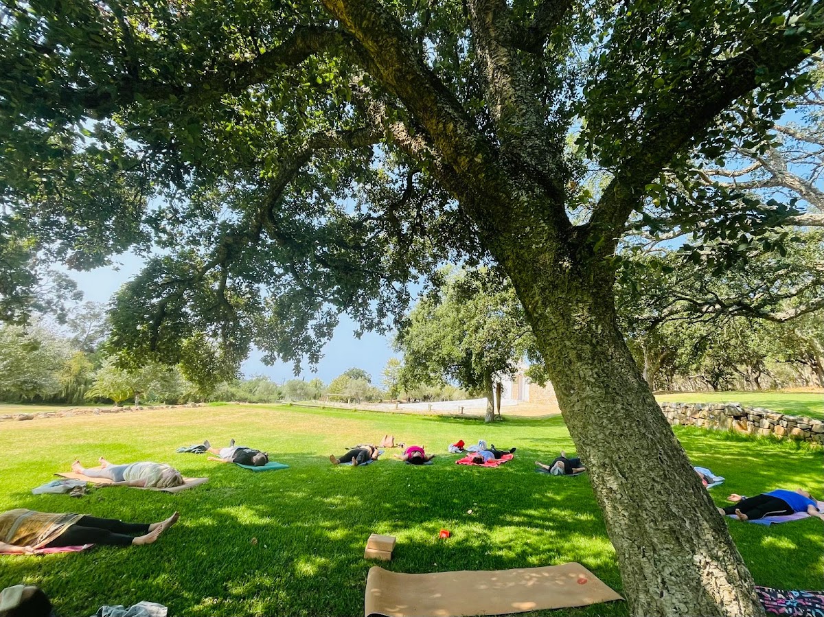 Yoga Flow Tribe