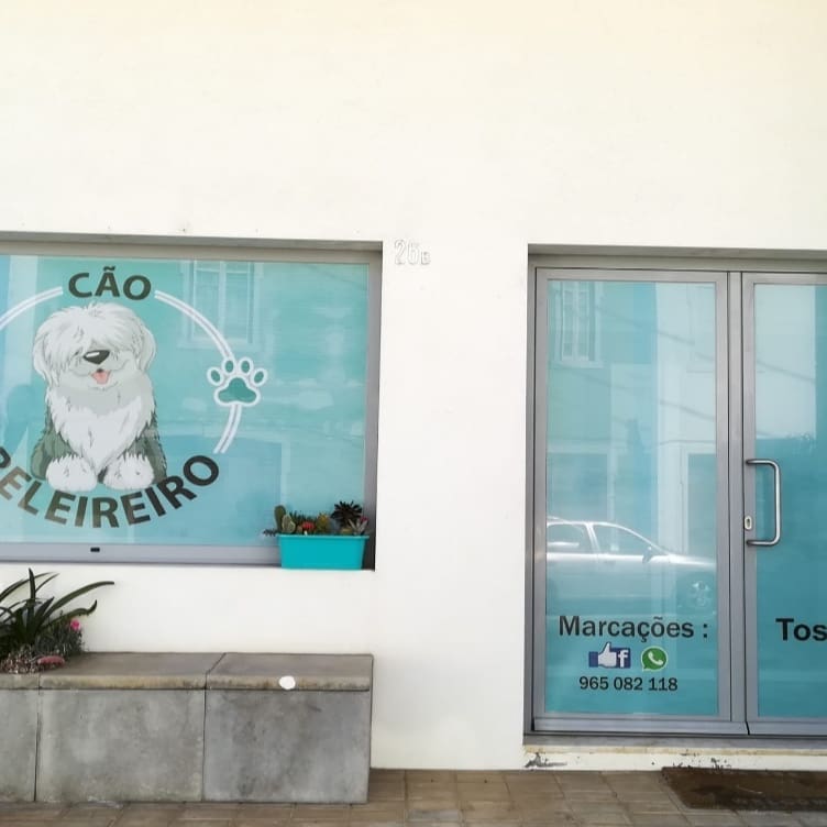 CÃObeleireiro e seus Bobtails
