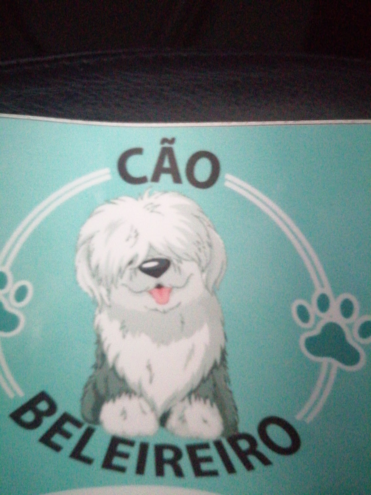 CÃObeleireiro e seus Bobtails photo 4