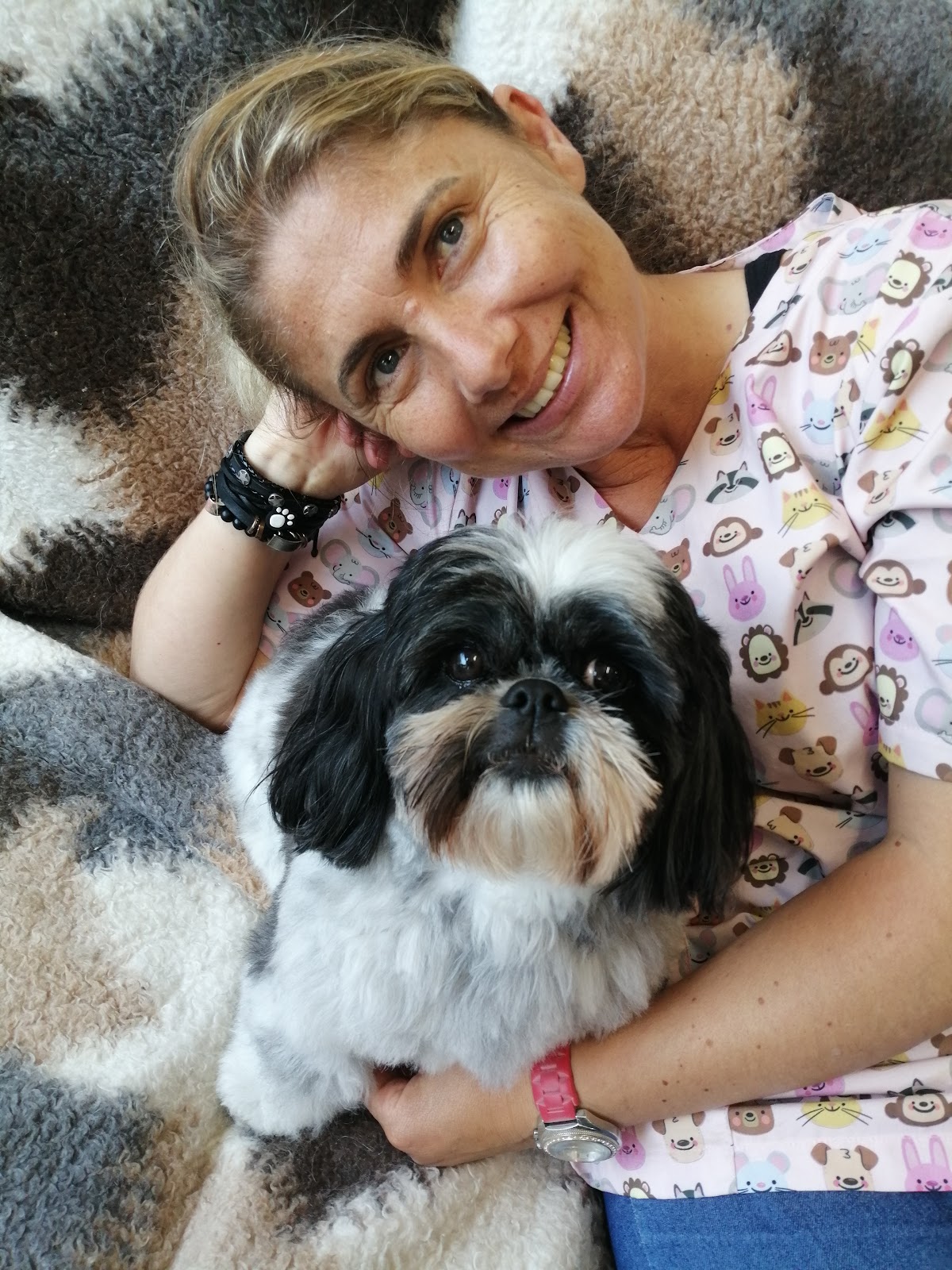 CÃObeleireiro e seus Bobtails photo 2