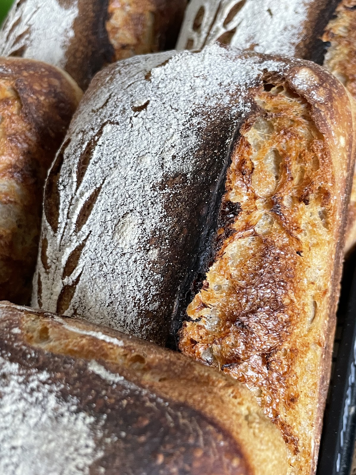 Lento - monja café and sourdough bakery photo 2