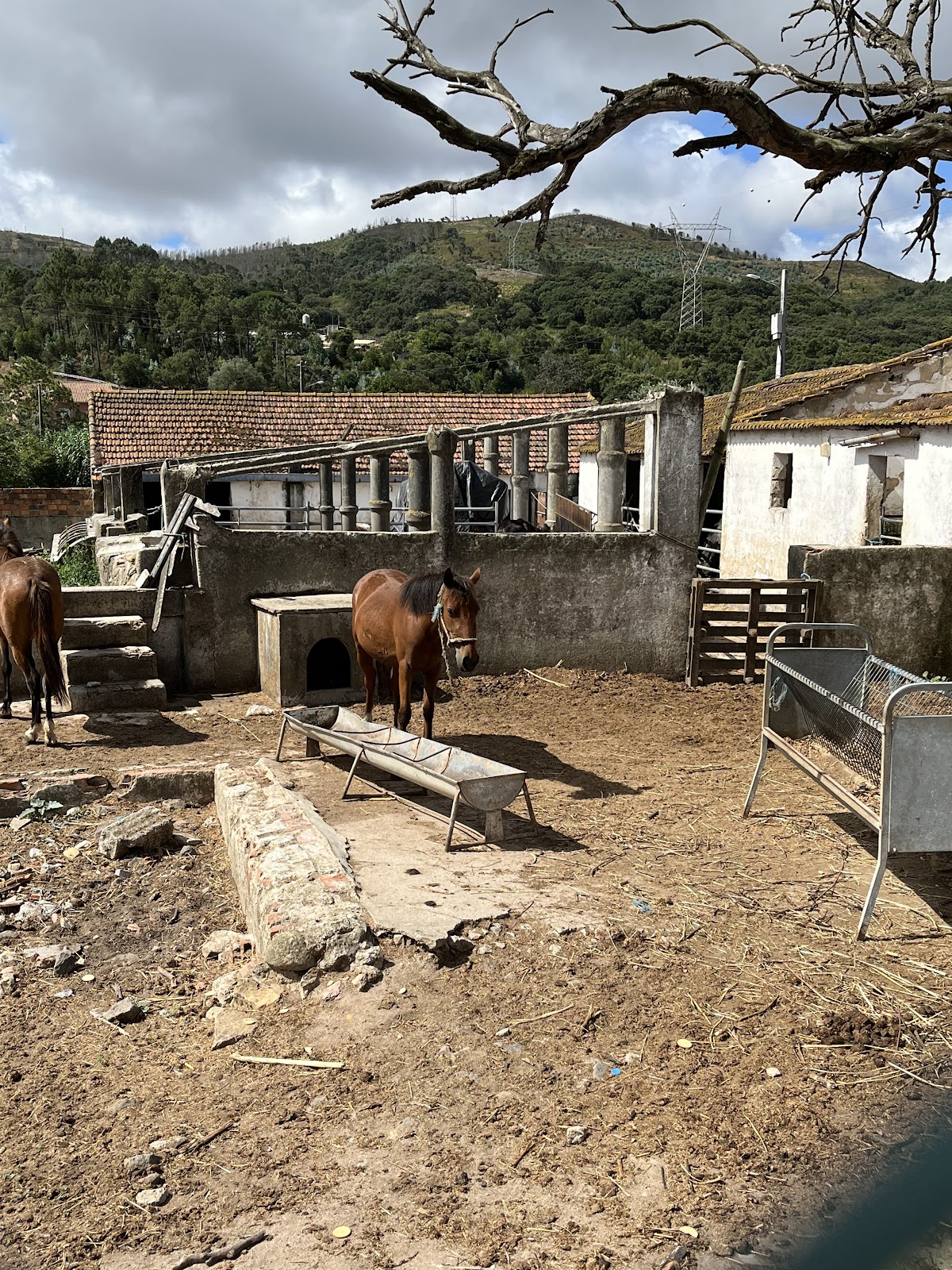 Casa Trabalho