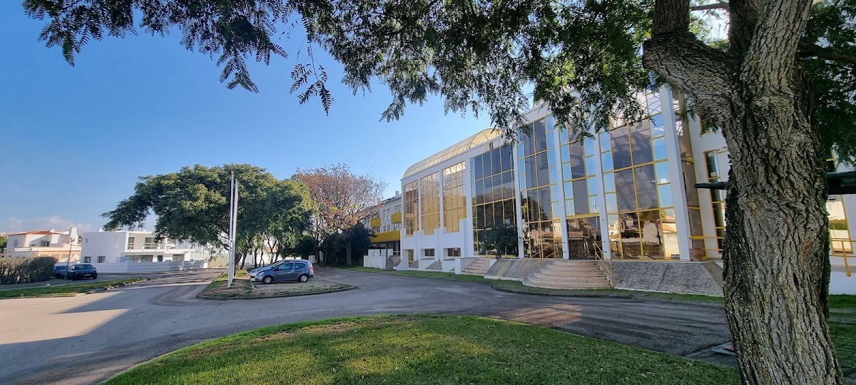 Sunshine Apartment photo 4