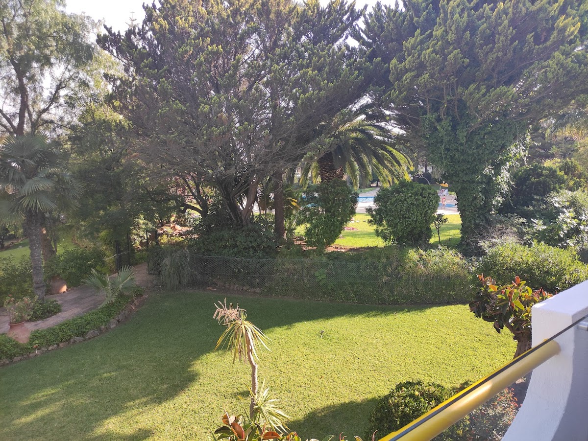 Sunshine Apartment photo 2