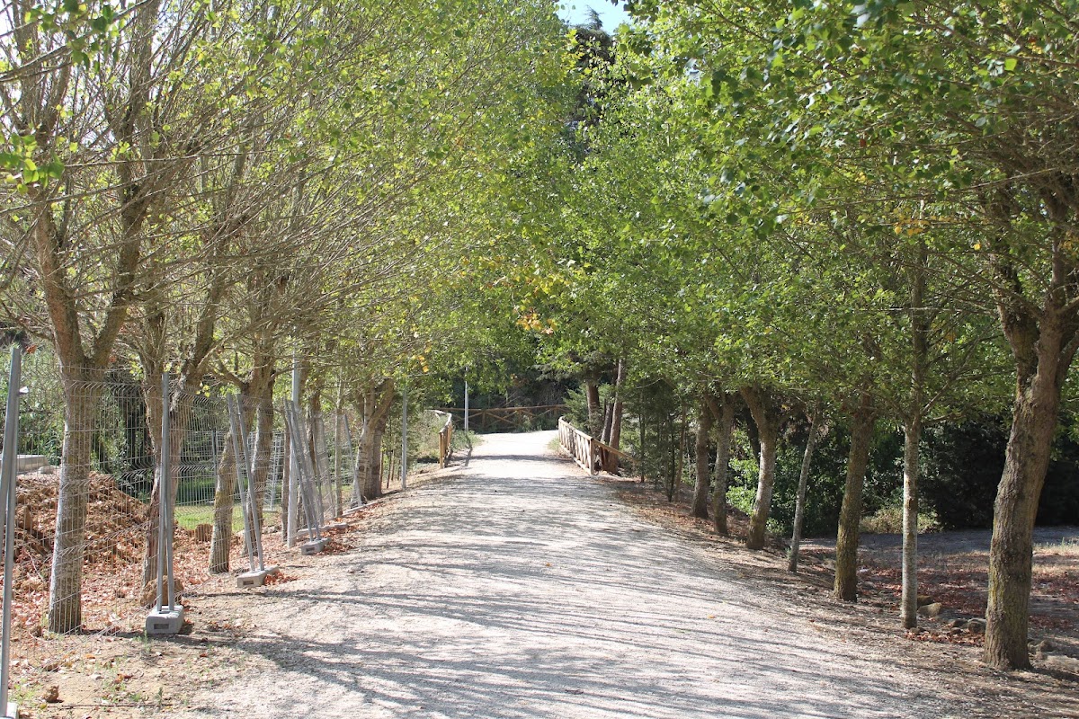 Ala dos Namorados photo 4