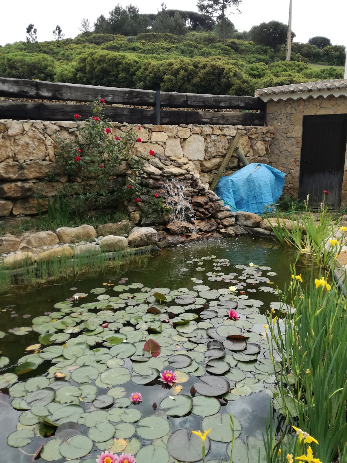 Quinta da Silveira