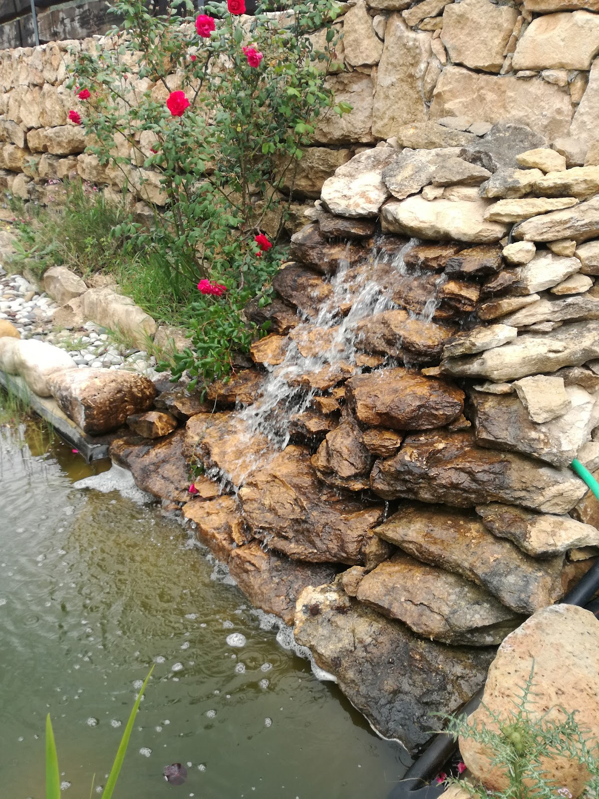 Quinta da Silveira photo 3