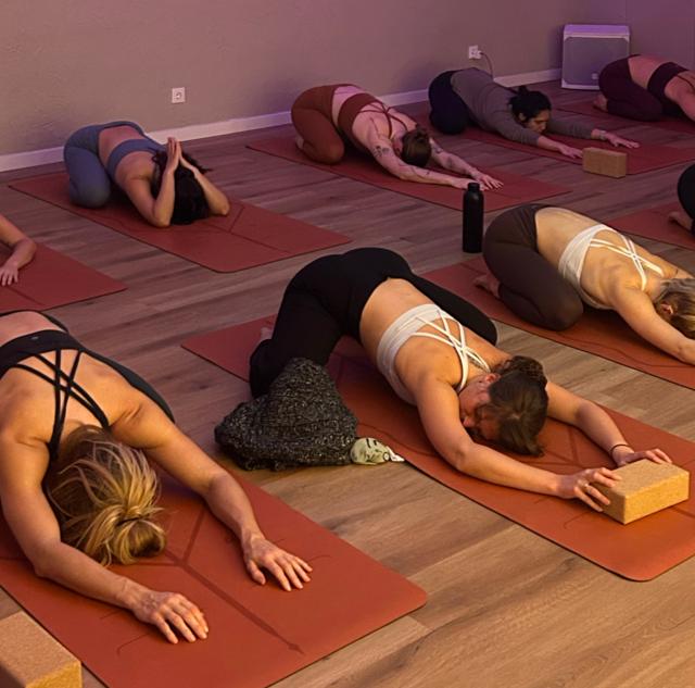 The organic way studio