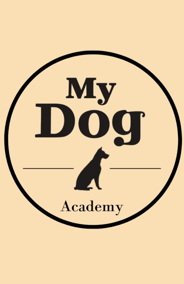 My Dog Academy