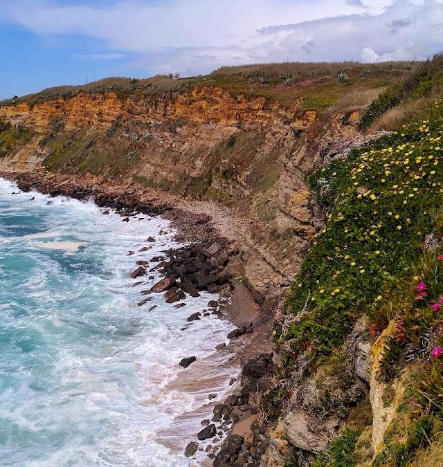 Baía dos Coxos