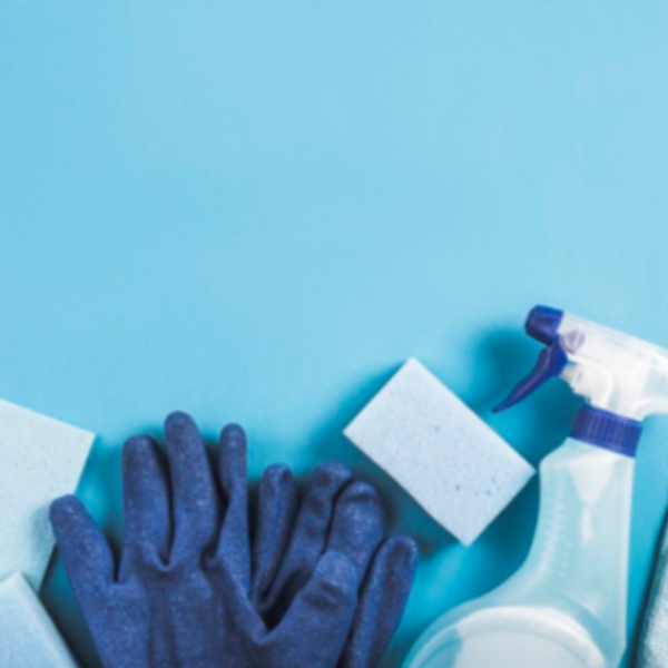 Ana Pinto – Cleaning