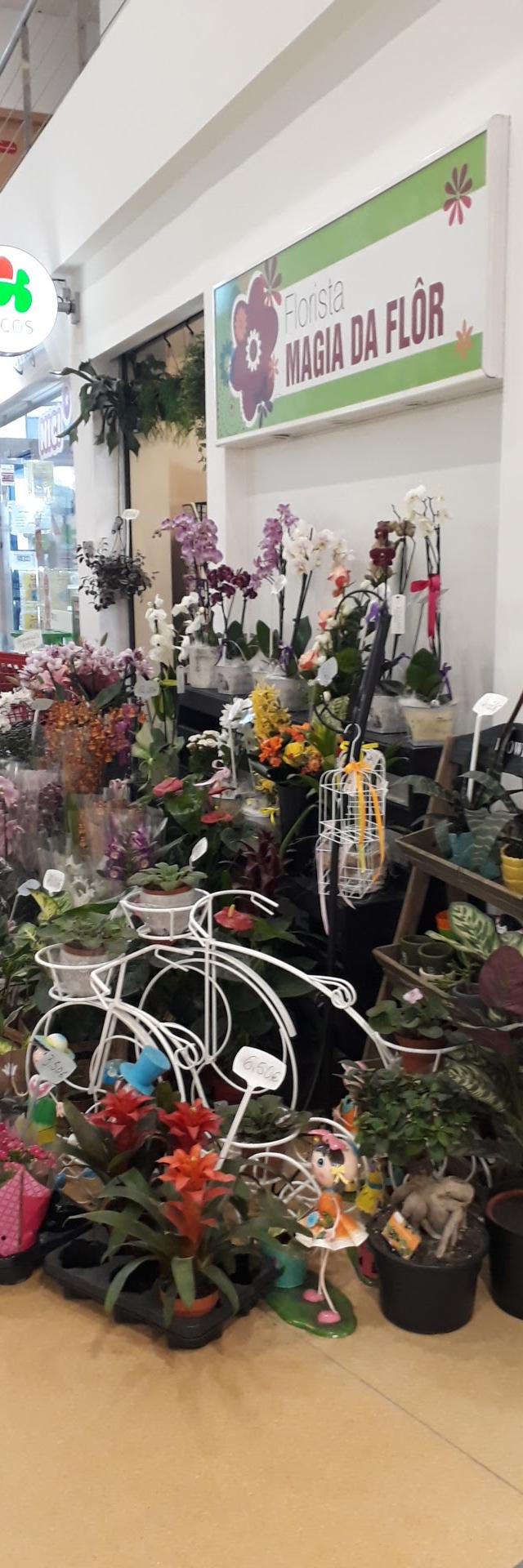 Florista Magia da Flor