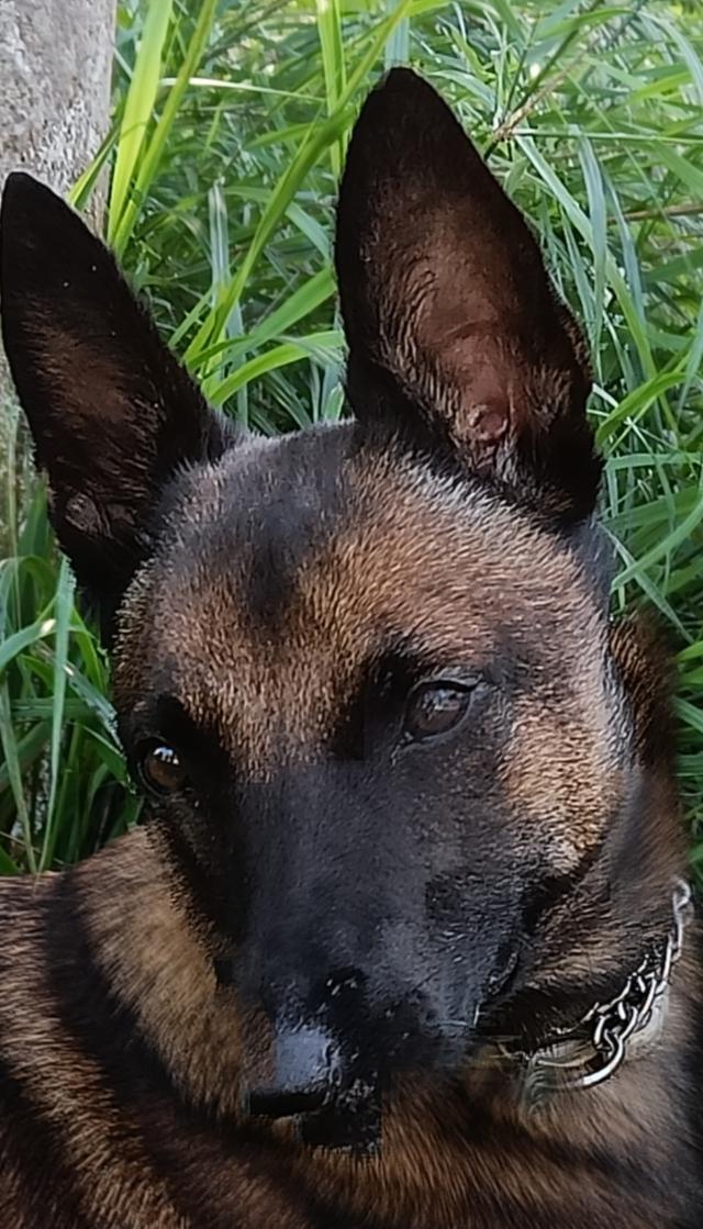 Consultorio Veterinario Valbom