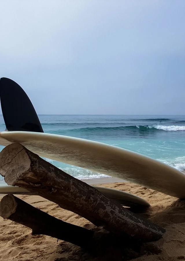 Wavegliders Surf Shop Ericeira - House of Classic Surf Culture
