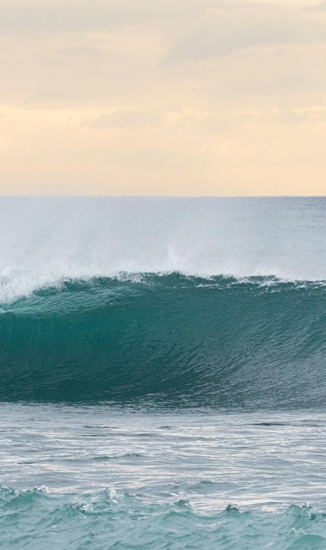 Ericeira Surf Camp